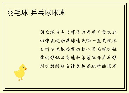 羽毛球 乒乓球球速